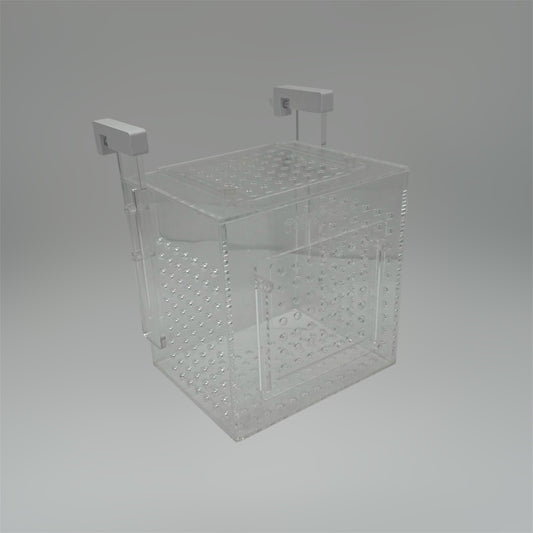 Gabbia per ambientamento